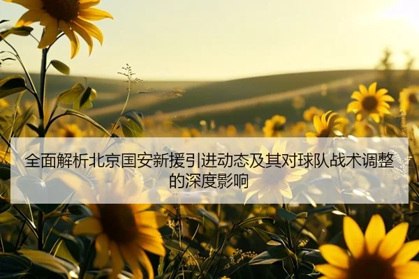 全面解析北京国安新援引进动态及其对球队战术调整的深度影响